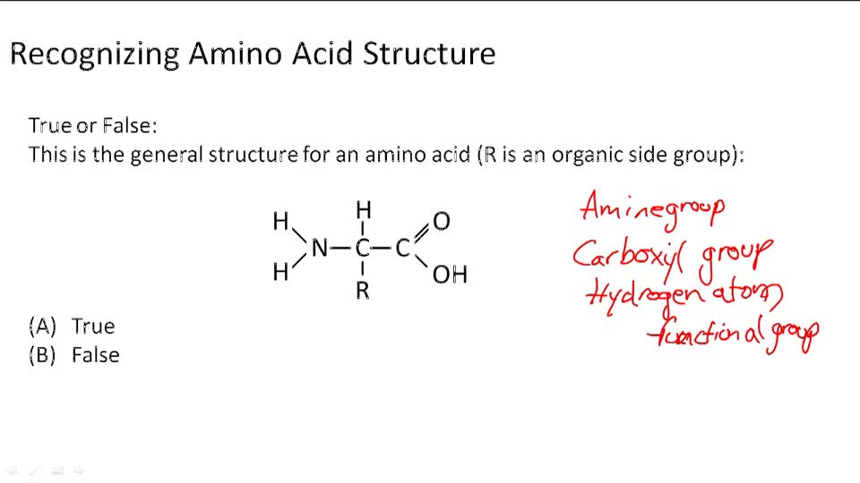 Amino Acid Classification CK12 Foundation
