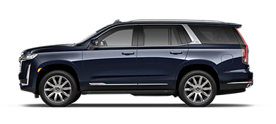 Sport Platinum