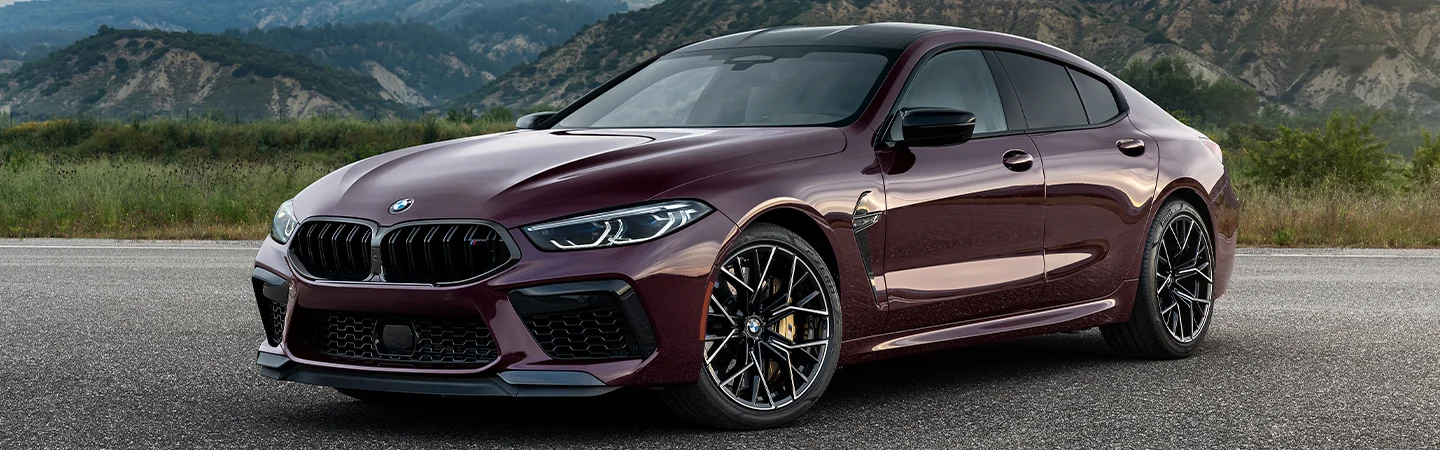 Parked 2025 BMW M8 Coupe on a street with mountains in the background