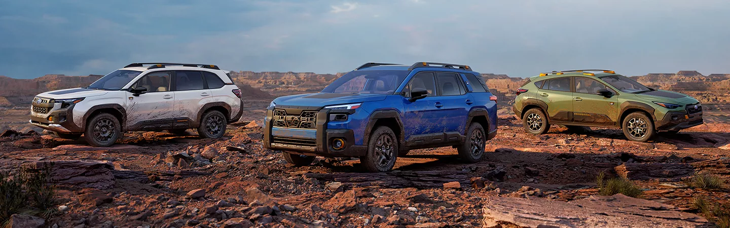 Three 2026 Subaru Outback Wilderness vehicles parked next to each other on a dirt path