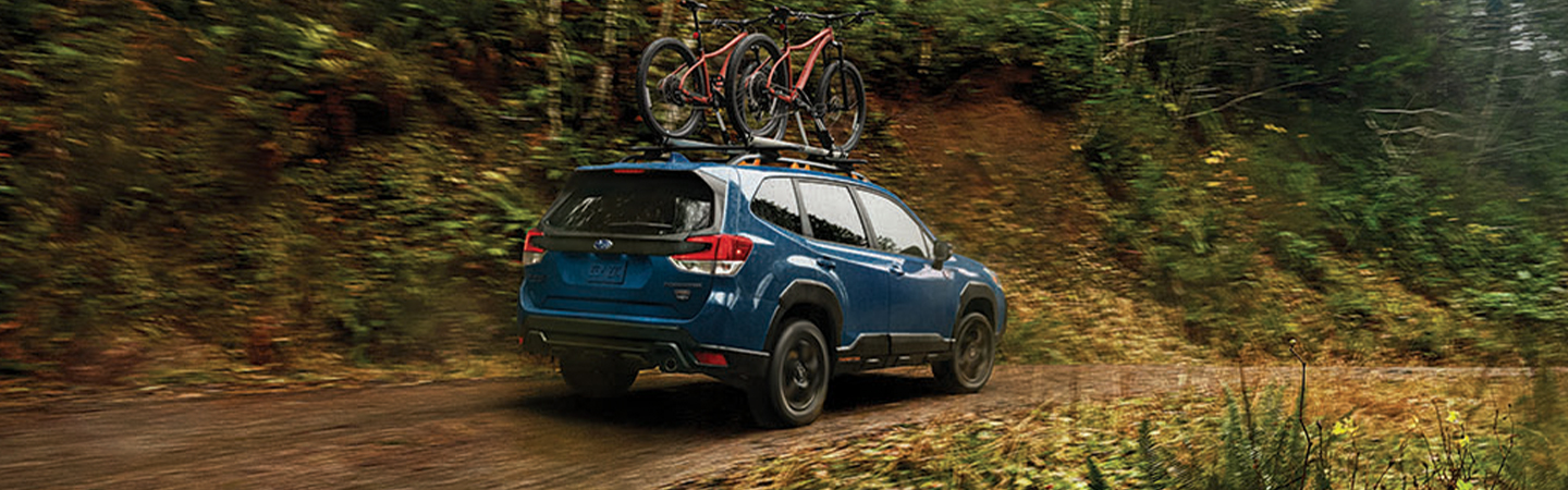 2024 Subaru Forester Wilderness Specs blue color top view
