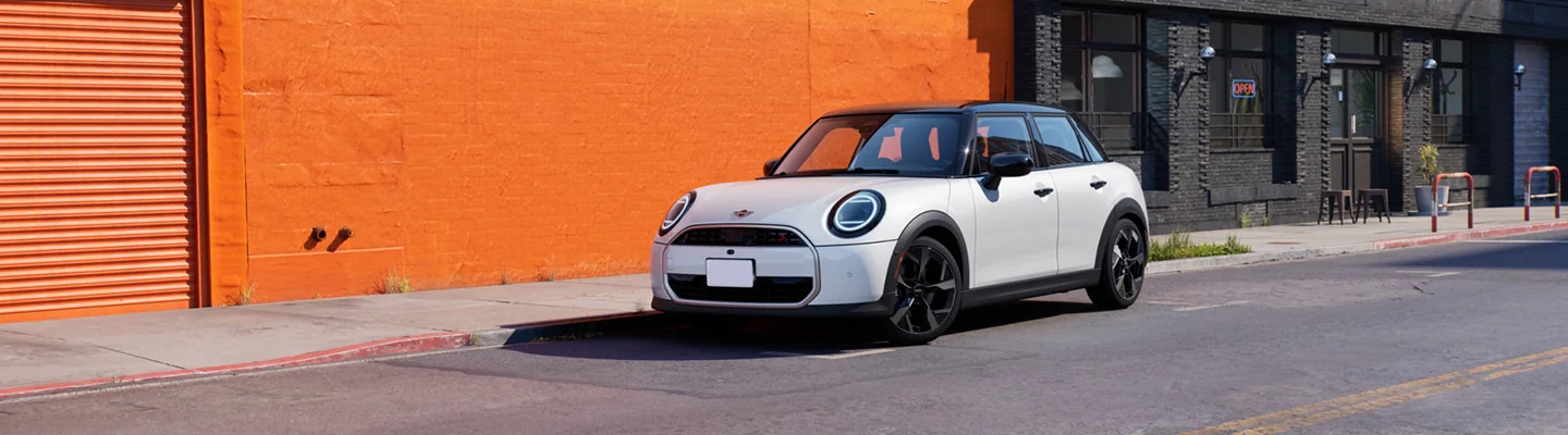 The MINI Maintenance Program