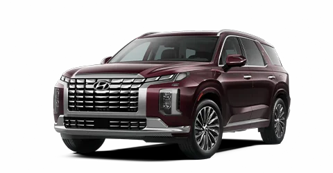 2025 Hyundai Palisade Calligraphy Night  