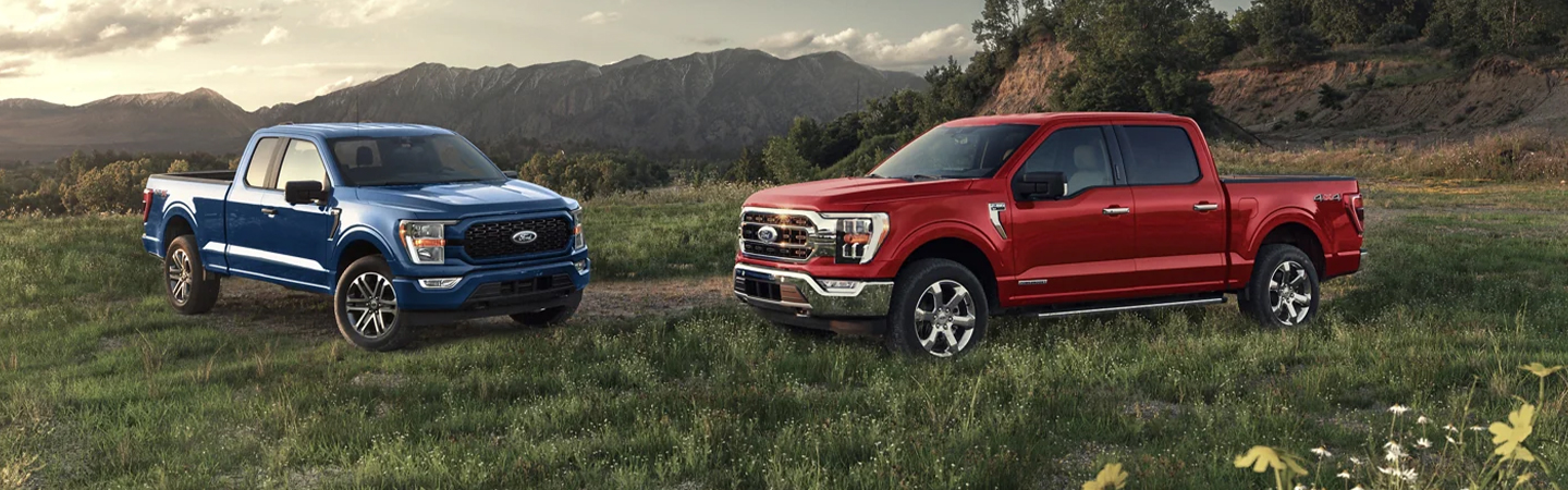two 2023 Ford F-150s parked in a field