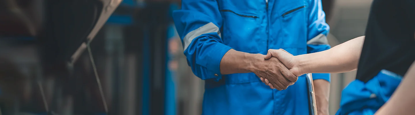 Ford Service Checks