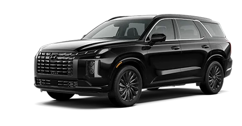 2025 Hyundai Palisade Calligraphy Night