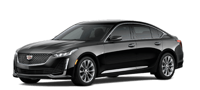 Premium Luxury