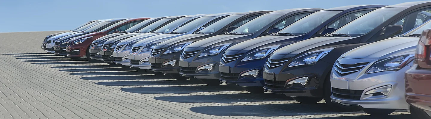 Modle line up of the fornt end of used cars