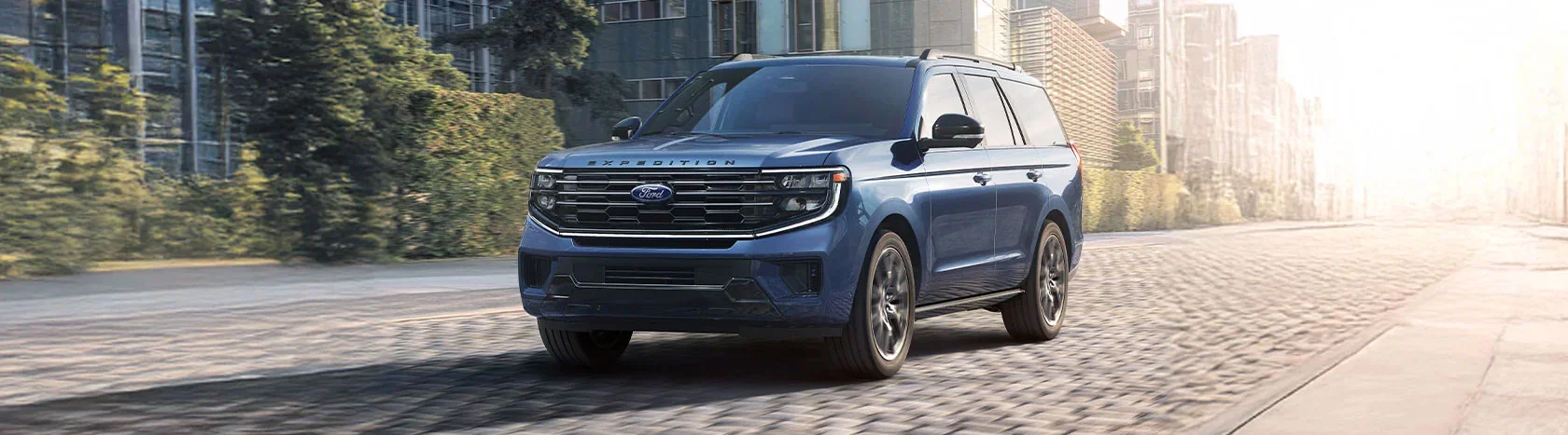blue Ford Expedition