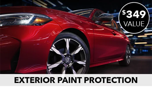 Exterior Paint Protection