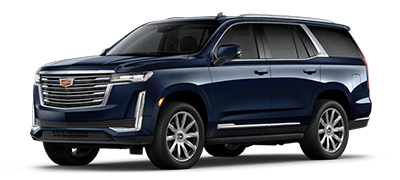Sport Platinum