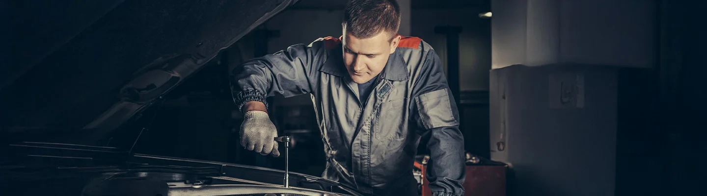 Luxury Vehicle Transport in FL