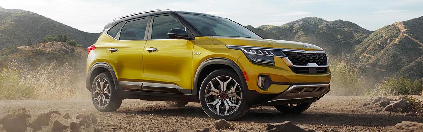 Yellow Seltos in motion in the desert