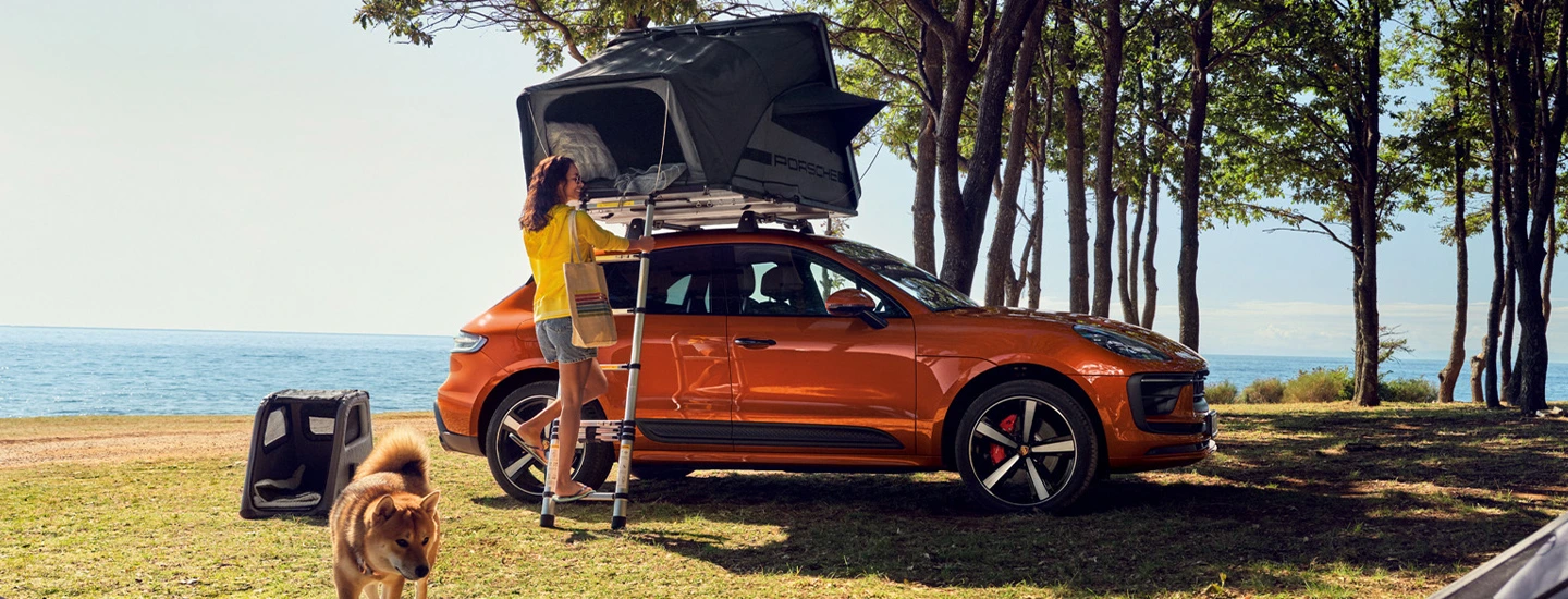 : 2024 Porsche Macan EV vs Tesla Model Y back side green
