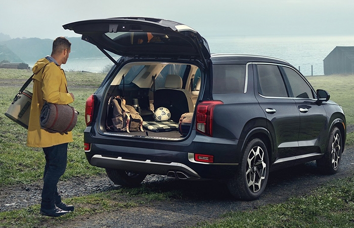 2022 Hyundai Palisade Exterior 3