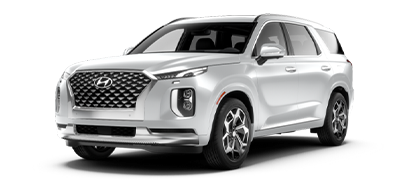 Hyundai Palisade Calligraphy