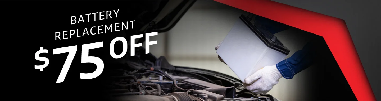 Special Battery Replacement