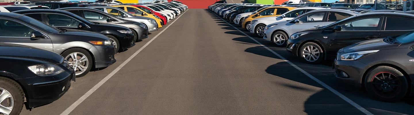 Things to Look For When Buying a Used Car at BMW of Tampa 