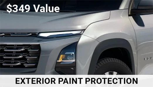 Exterior Paint Protection