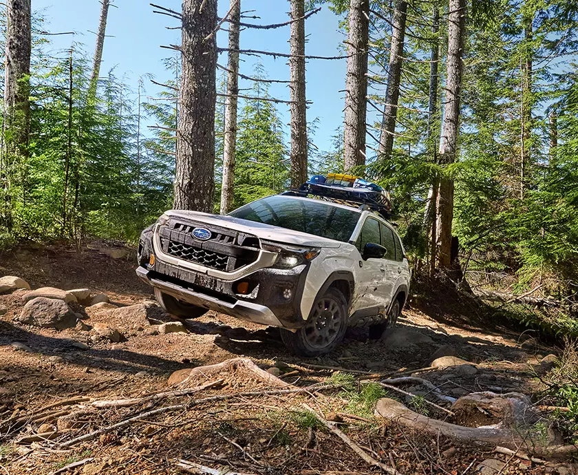 white Subaru Forester traversing a hill in the woods