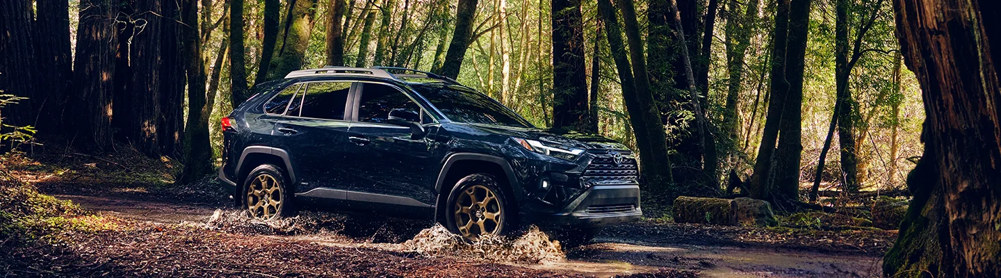 Blue Toyota SUV dring though the woods
