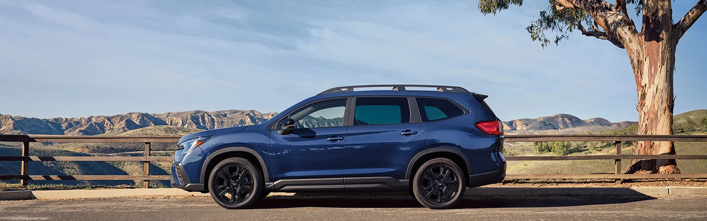 Side view of a parked blue 2026 Subaru Ascent at a scenic spot