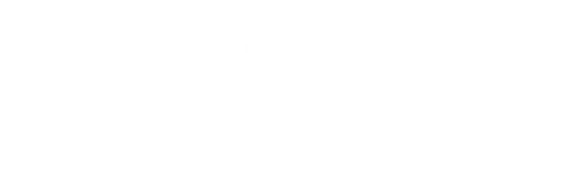 SURFACE SANITIZER & ANTIMICROBIAL