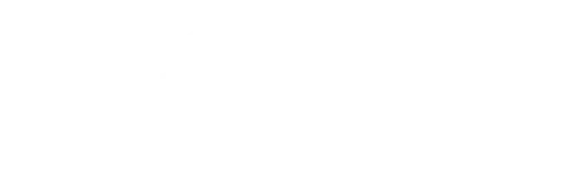 NITROGEN TIRE SERVICE