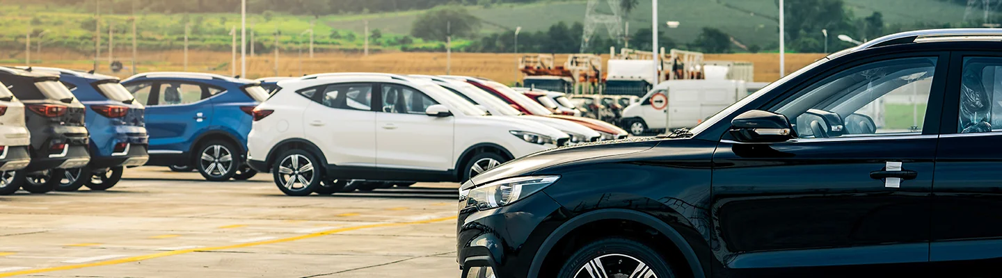 vehicles on a dealer lot