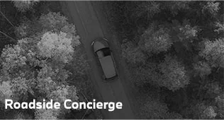 Roadside Concierge