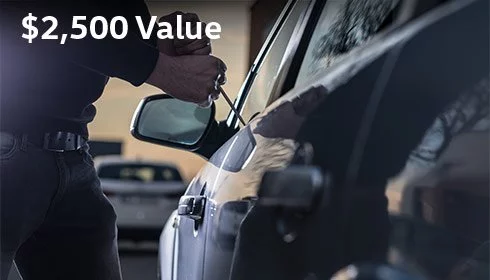 Stolen Vehicle Assistance