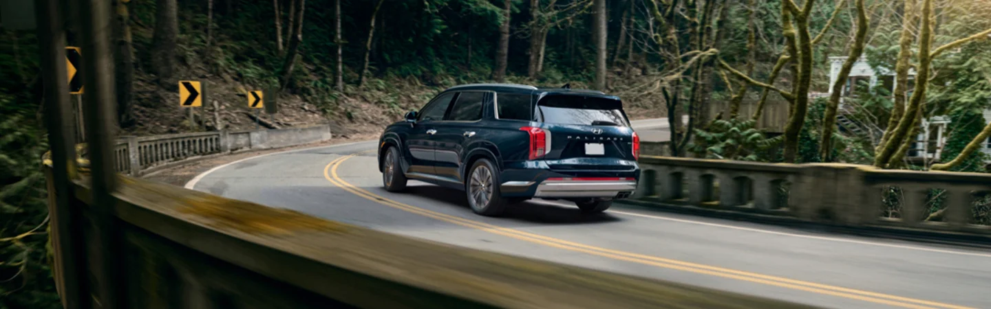 2025 Hyundai Palisade driving down a winding road