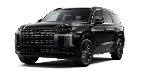 2025 Hyundai Palisade Calligraphy Night