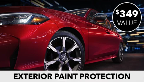 Exterior Paint Protection