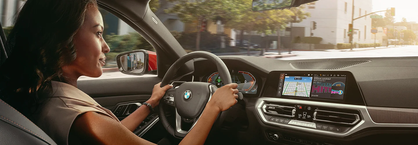 Interior view of the dashboard and person driving in the car
