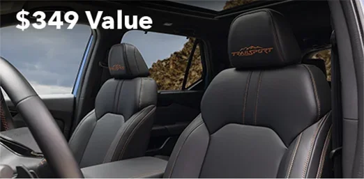 Interior Fabric Protection