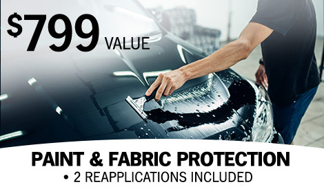 paint and fabric protection
