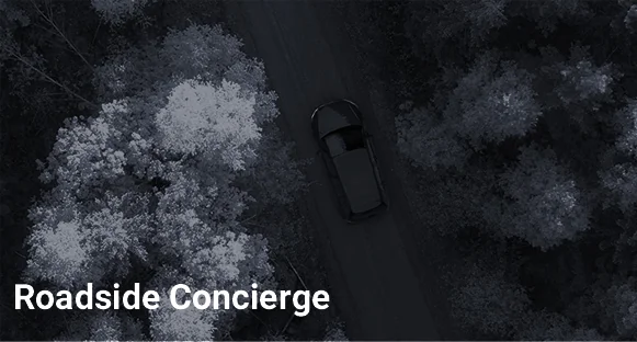 Roadside Concierge image