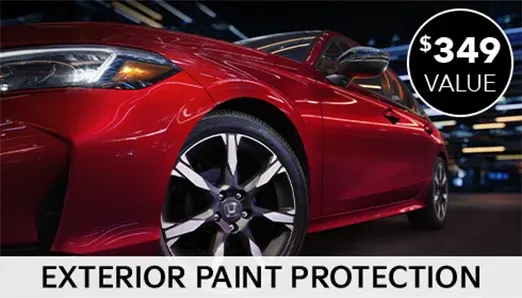 Exterior Paint Protection