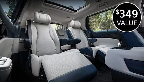 Interior Fabric Protection