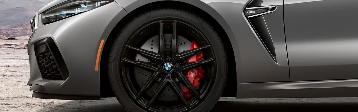Front tire with sliver colour