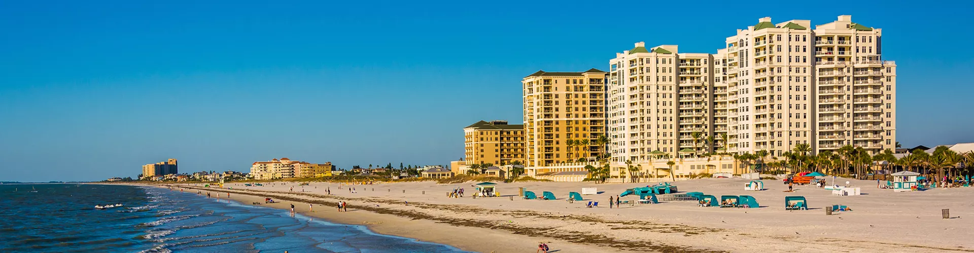 background of Wesley Chapel, FL
