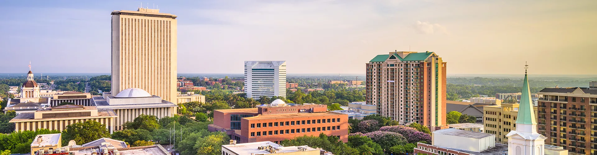 Image of the city of Tallahassee FL.