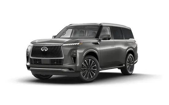 New INFINITI QX80