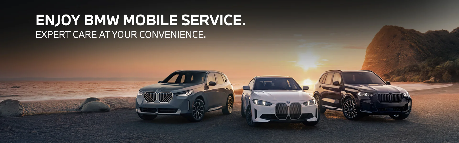 Enjoy BMW mobile service expert care at your convenience