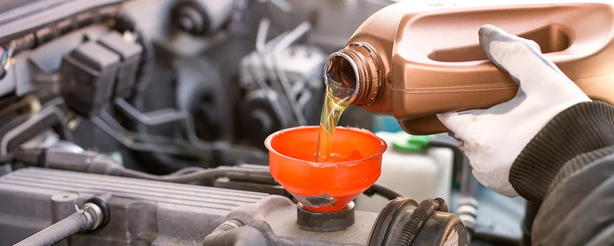 Technician performing a Kia oil change in a St. Petersburg service bay