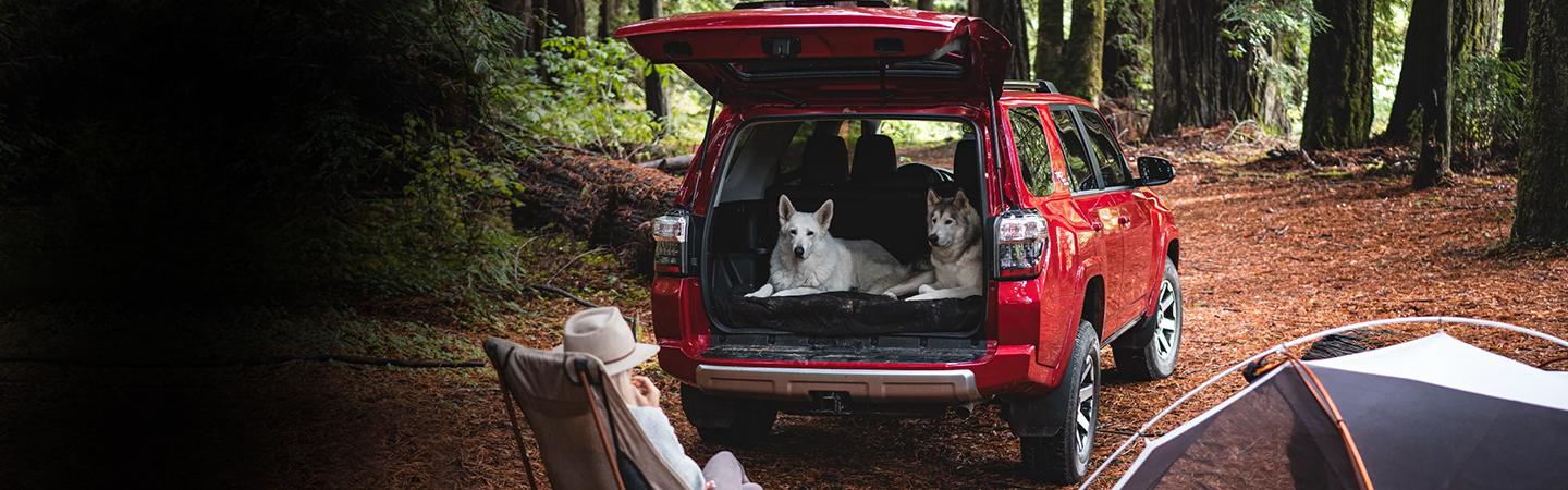 Toyota 4Runner at campsite