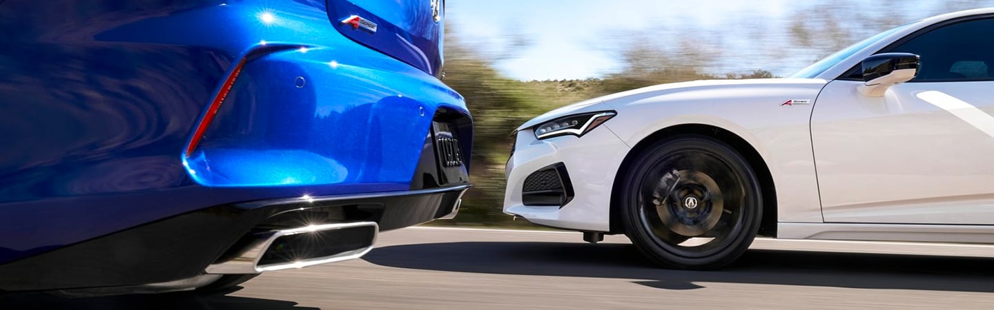Bumper and Fender detail of two TLXs