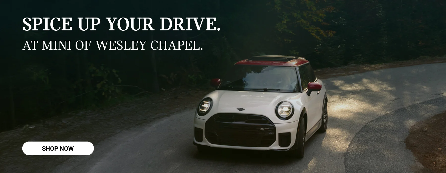 SPICE UP YOUR DRIVE. AT MINI OF WESLEY CHAPEL.