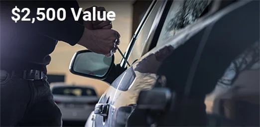 Stolen Vehicle Assistance